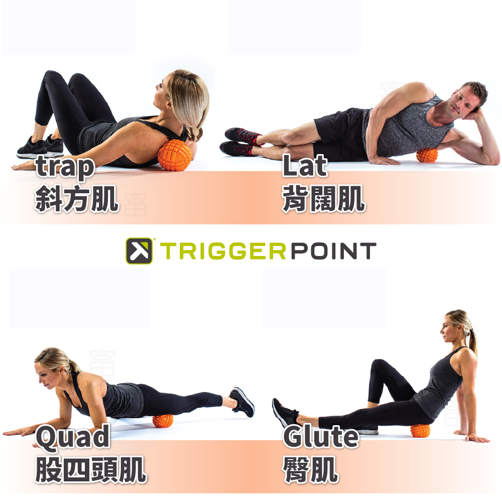 【Trigger point】Grid Ball 按摩球-橘色－（總代理公司貨）