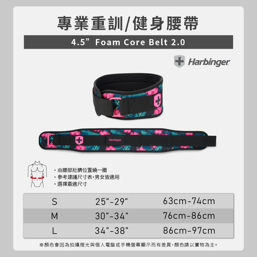 【Harbinger】4.5＂ Foam Core Belt 2.0 專業重訓/健身腰帶-花色（總代理公司貨）